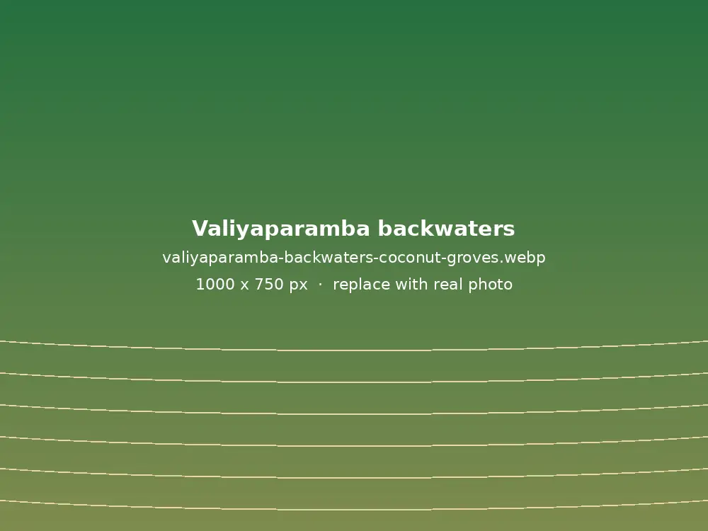 Valiyaparamba backwaters lined with coconut groves in Nileshwar